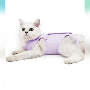Cat post surgery recovery suit
